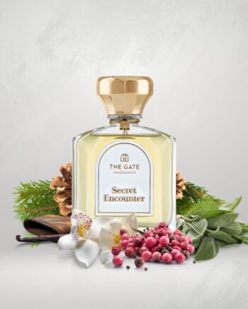 SECRET ENCOUNTER - THE GATE PARIS