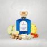 LE GRAND BLEU - THE GATE PARIS