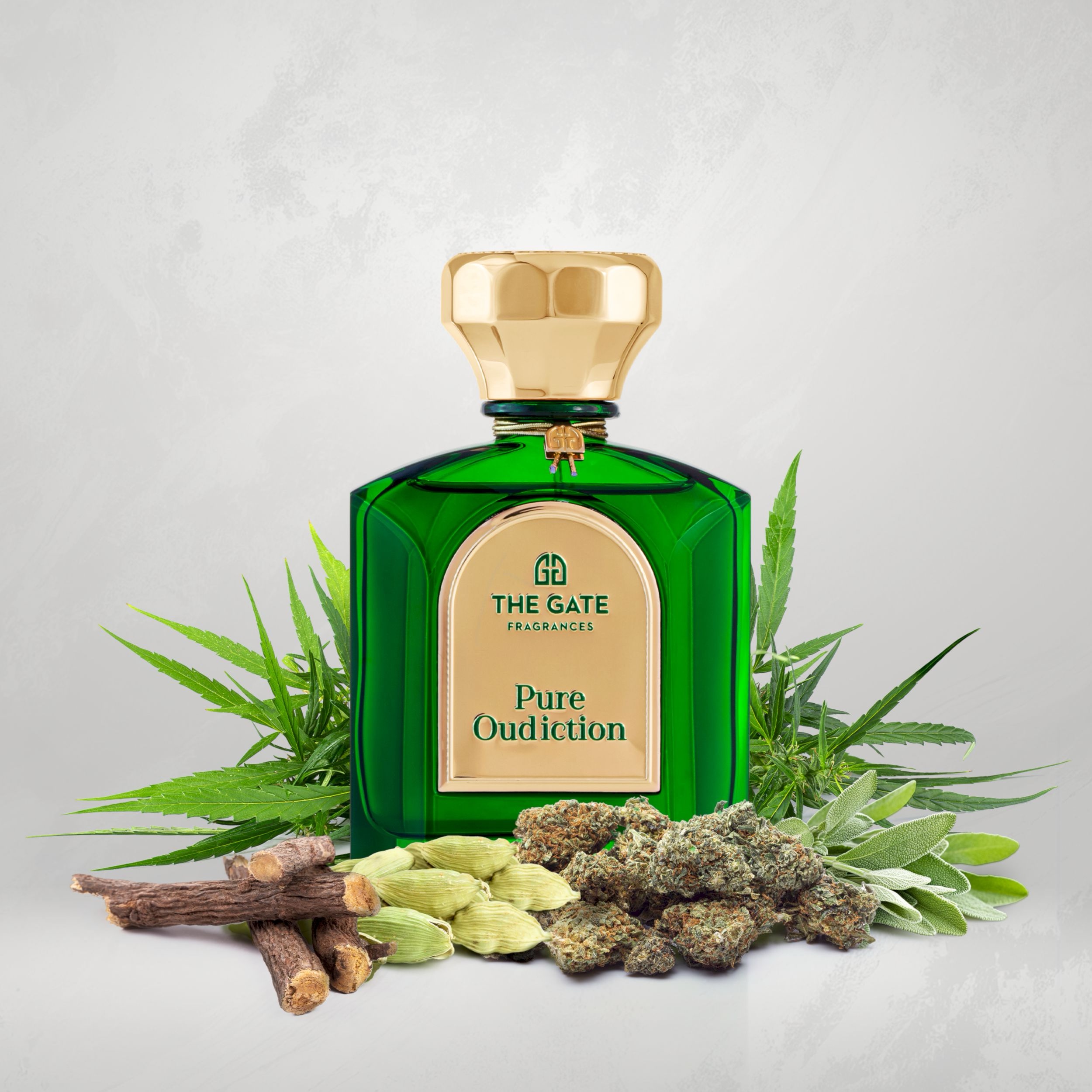 PURE OUDDICTION - THE GATE PARIS