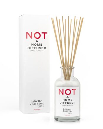 NOT A DIFFUSER - JULIETTE HAS A GUN